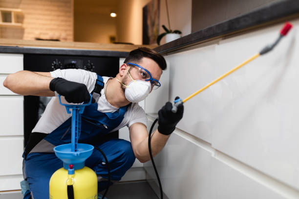 Best Wasp Removal Services  in Viera East, FL