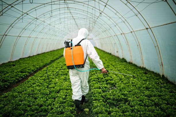 Best Residential Pest Control  in Viera East, FL