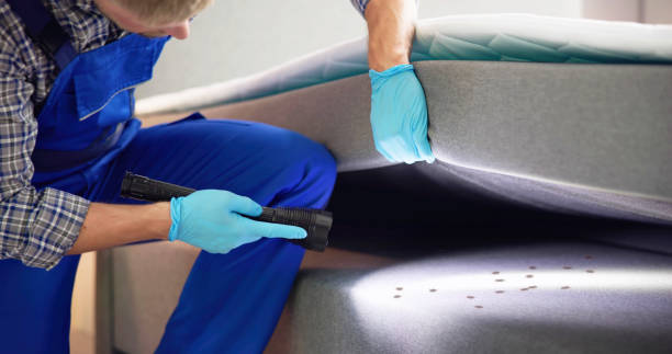 Best Affordable Pest Control Services  in Viera East, FL