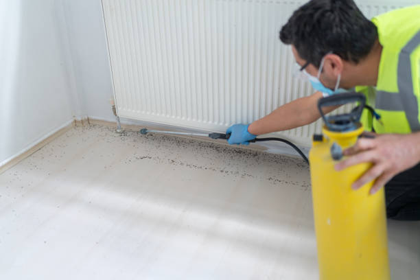 Reliable Viera East, FL Pest Control Solutions